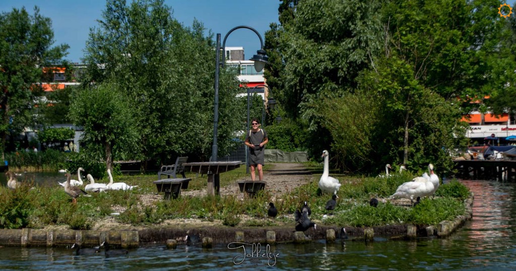 STA-Sloepen-30-Juni-2019-2354