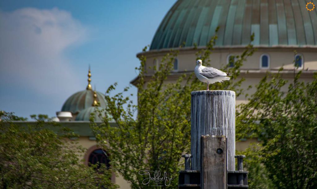 STA-Sloepen-30-Juni-2019-2431